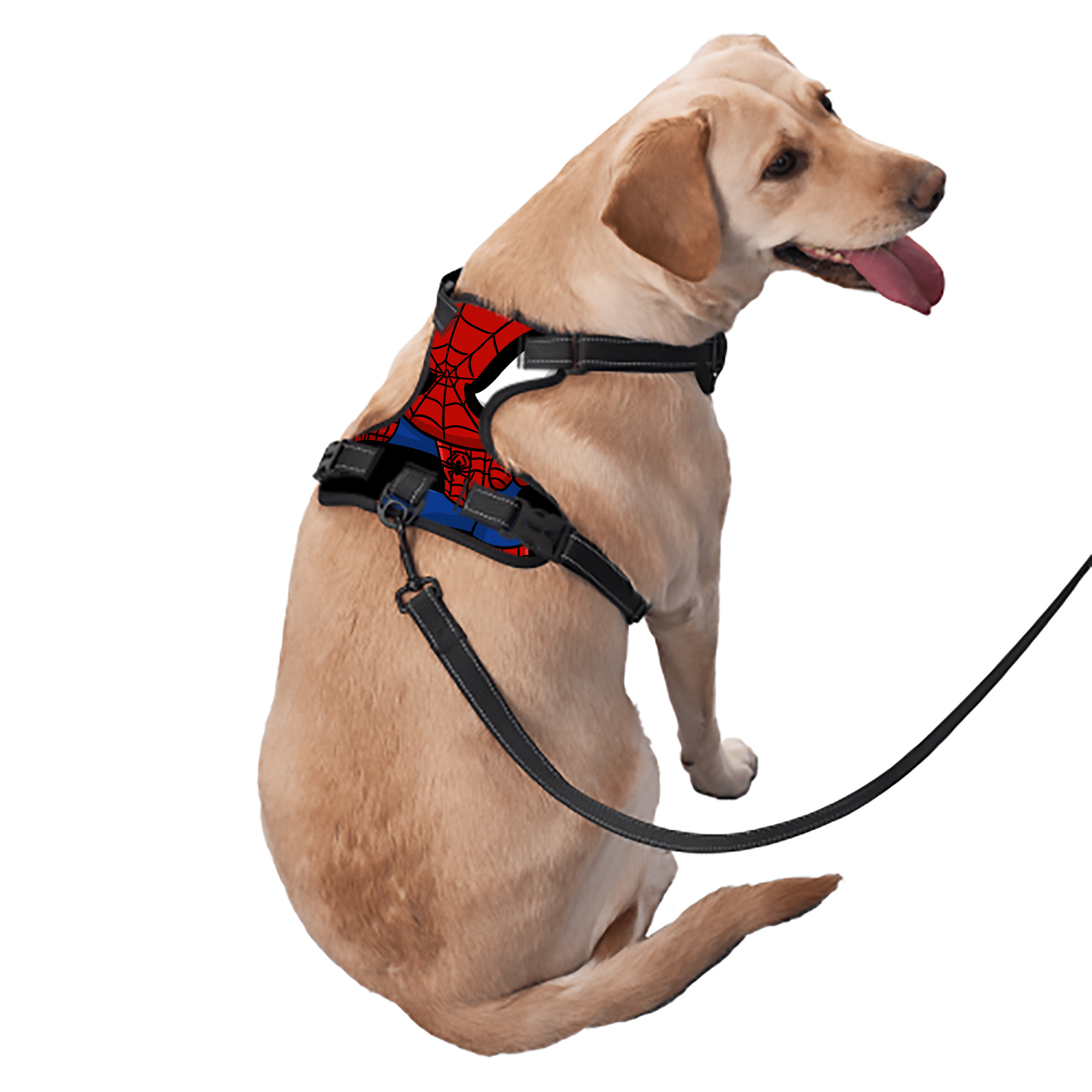 （画像用） Spider Man スパイダーマン ペット用ハーネス